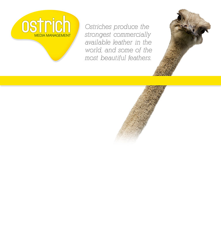 Ostrich Media Management Large Format Printing Service